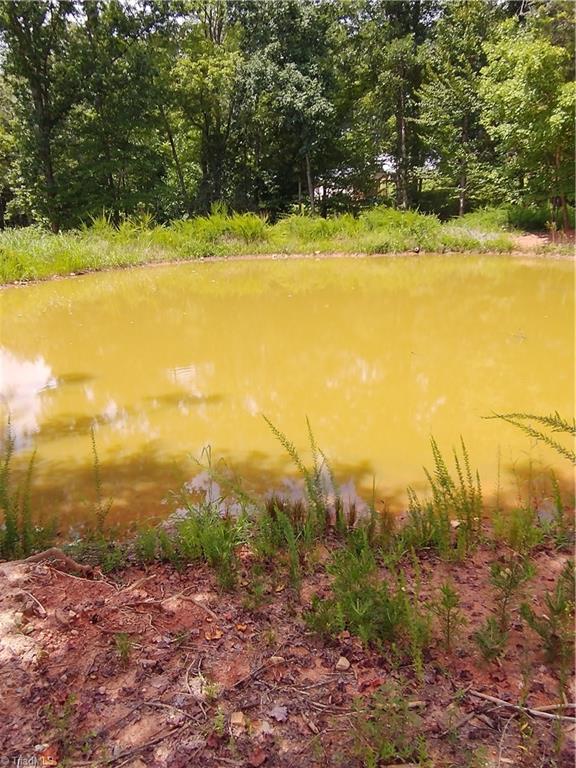 1948 Buffalo Road Sandy Ridge, NC 27046 - Photo 15 of 20