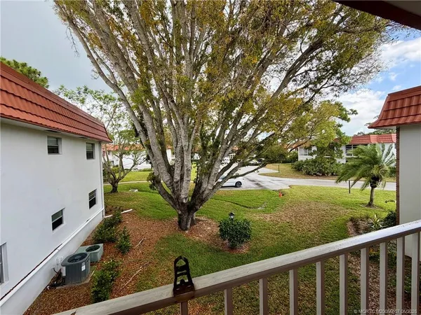 a view of a backyard