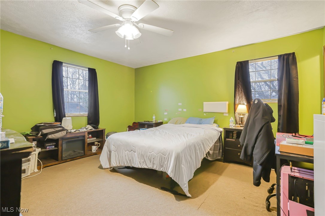 232 McGill Road Vincent, OH 45784 - Photo 19 of 49 Bedroom with carpet, a textured ceiling, multiple windows, and ceiling fan