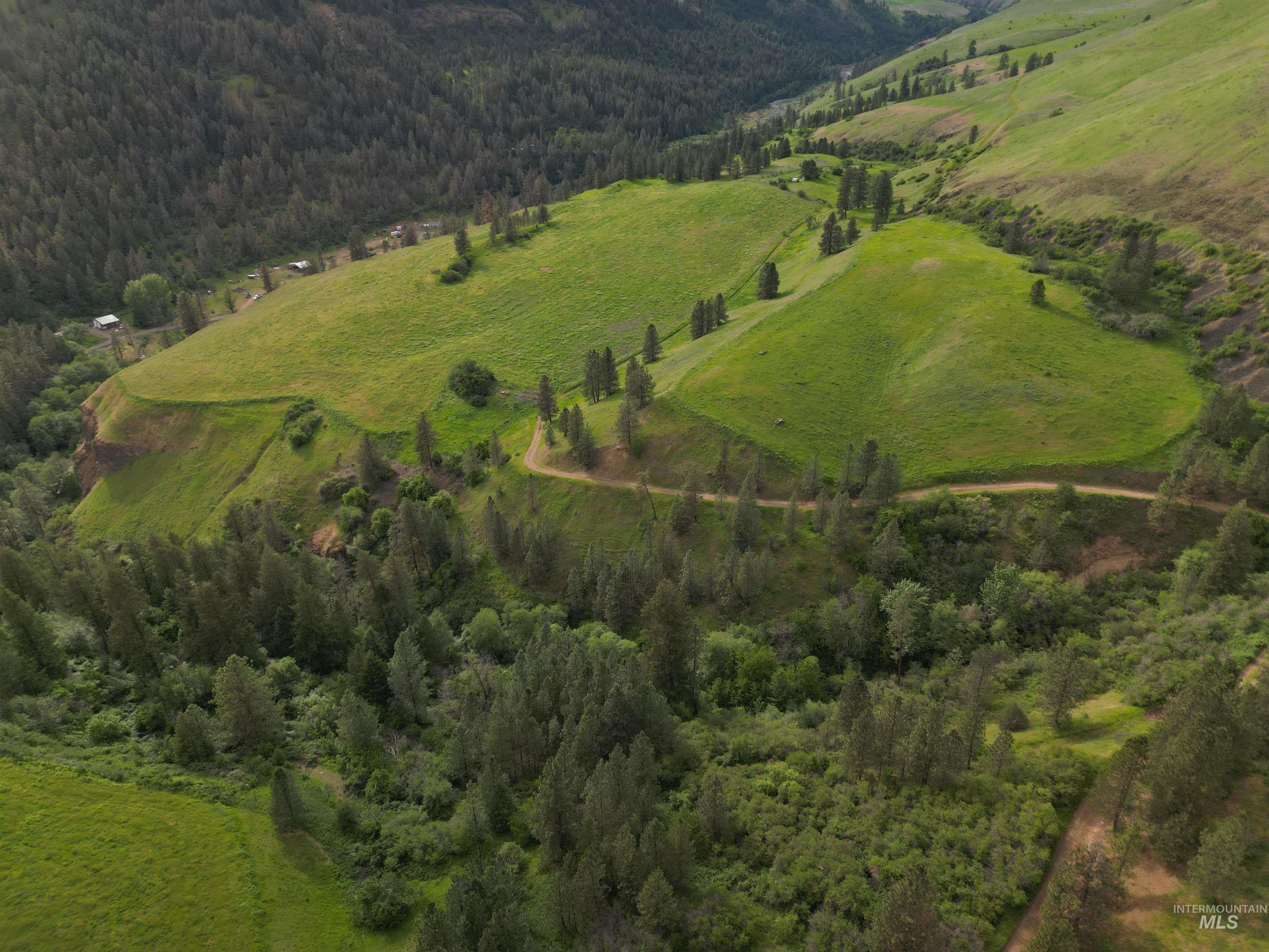 0 American Ridge Road Kendrick, ID 83537 - Photo 12 of 25