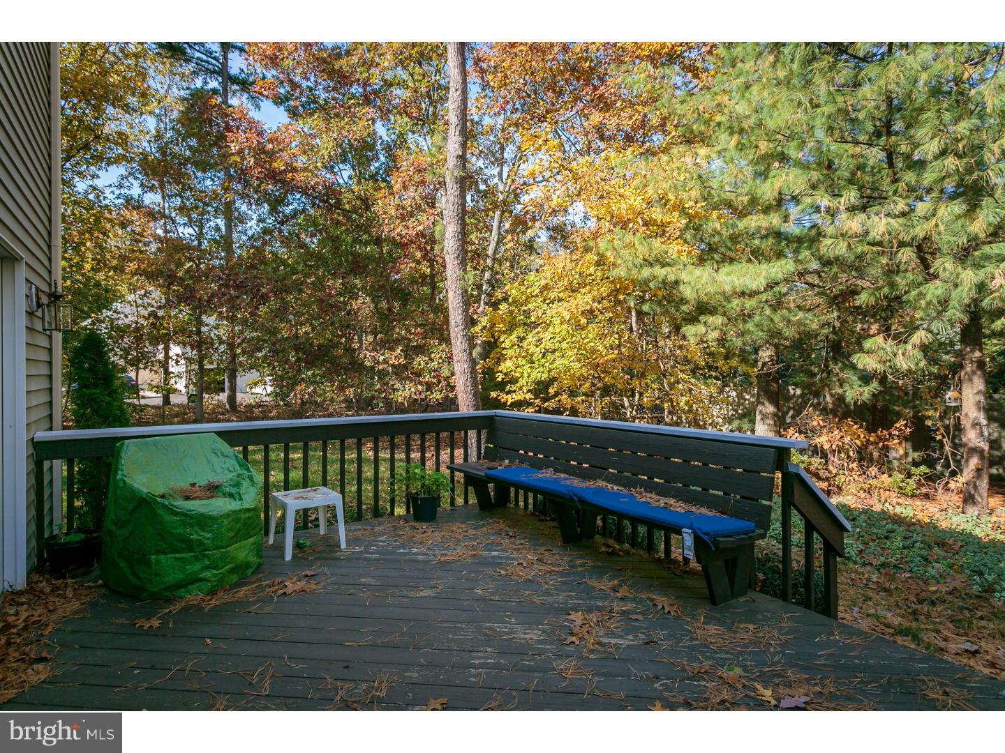 818 McKendimen Road Shamong, NJ 08088 - Photo 25 of 25