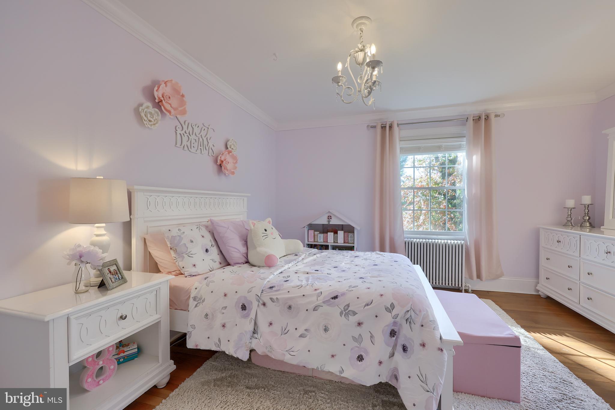 133 Delp Road Lancaster, PA 17601 - Photo 34 of 54 Gallery Image 34