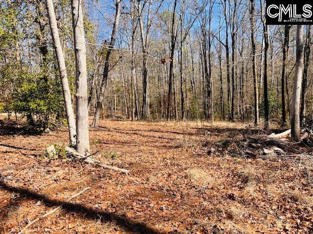 Maple Knoll Road Prosperity, SC 29127 - Photo 6 of 15