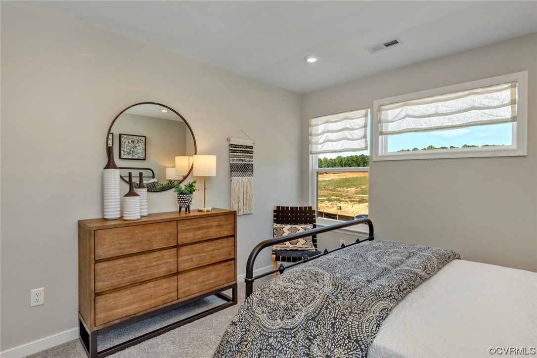 12873 Deep Wl Road Midlothian, VA 23112 - Photo 23 of 48 Gallery Image 23