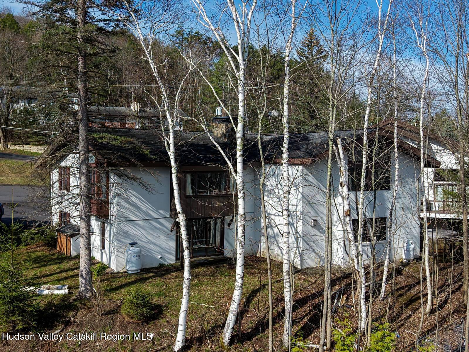 97 Clarence D Lane Road, Unit D Windham, NY 12496 - Photo 29 of 35 11692442-39hXMJBV89Qnyh1j