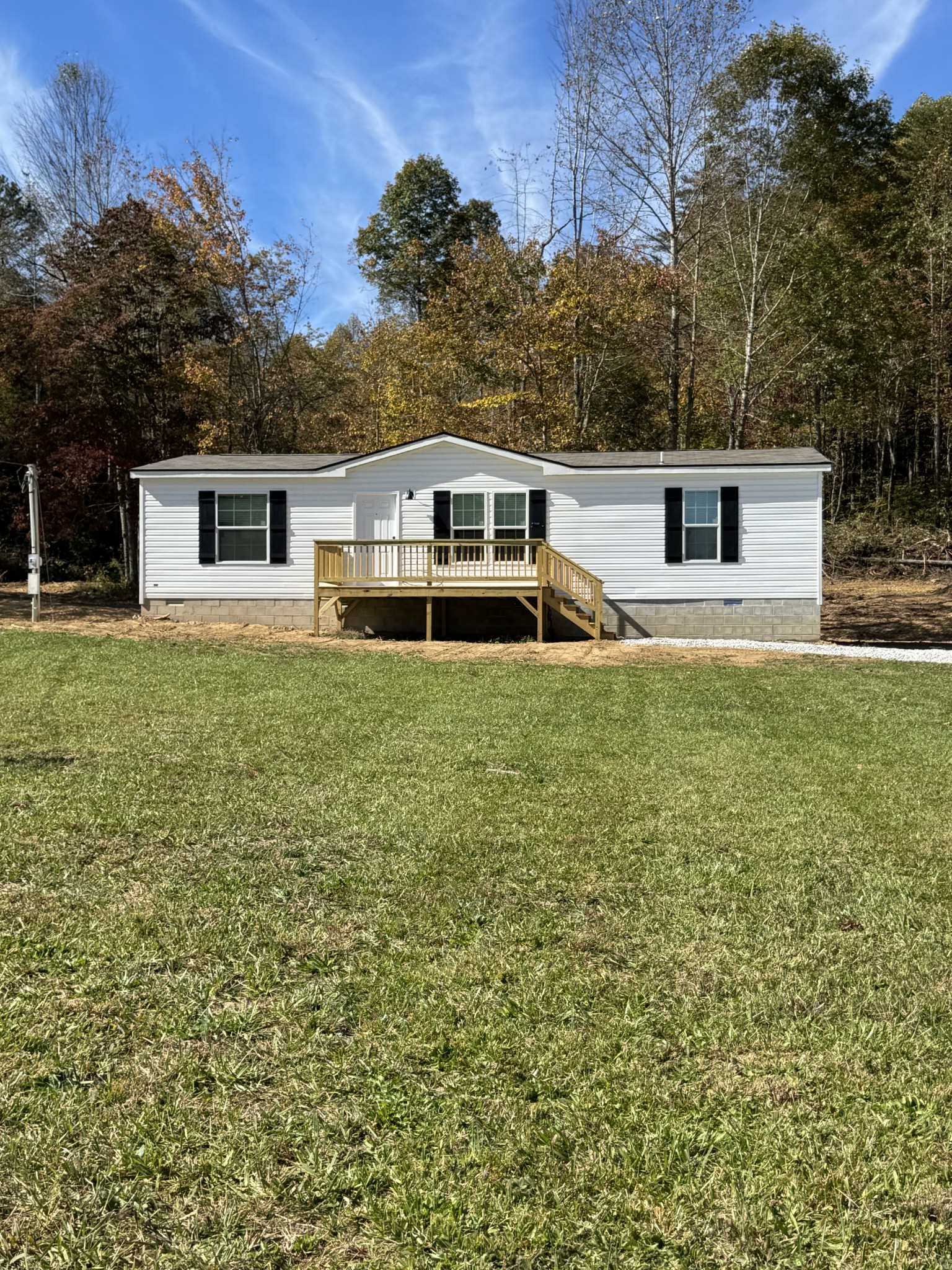 a house that has a tree in front of it