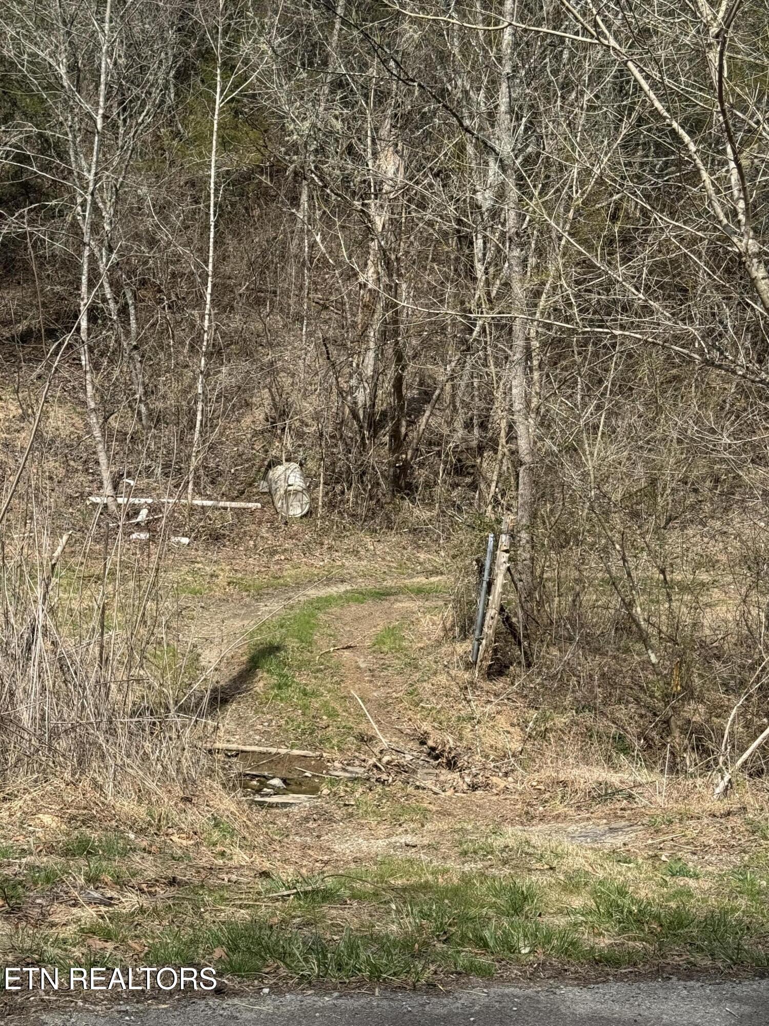 Bear Creek Road Bybee, TN 37713 - Photo 2 of 6 IMG_7140