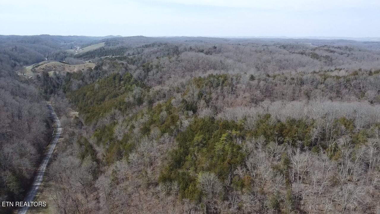 Bear Creek Road Bybee, TN 37713 - Photo 3 of 6 2025-03-14-13-06-26-793