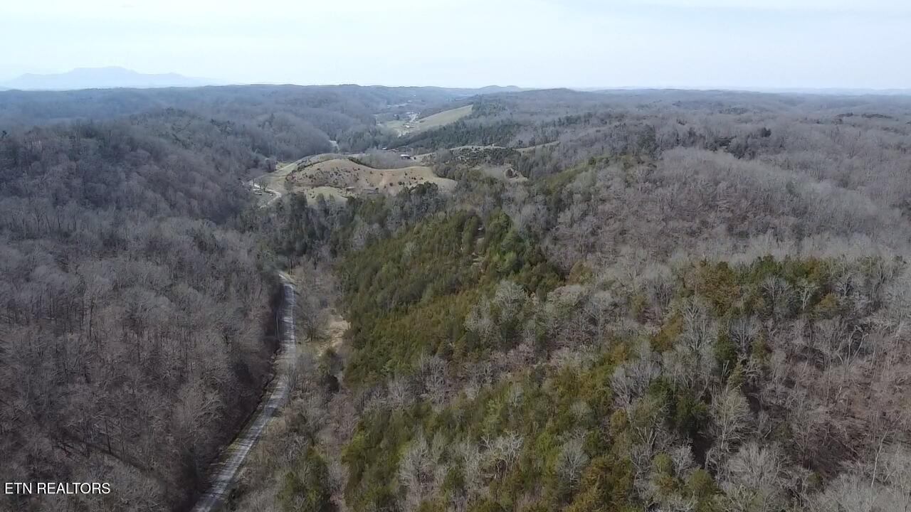 Bear Creek Road Bybee, TN 37713 - Photo 4 of 6 2025-03-14-13-06-48-983