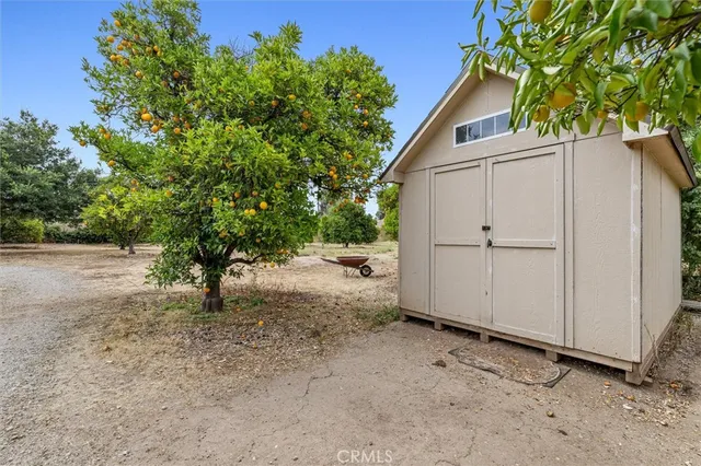 a view of a house with a tree