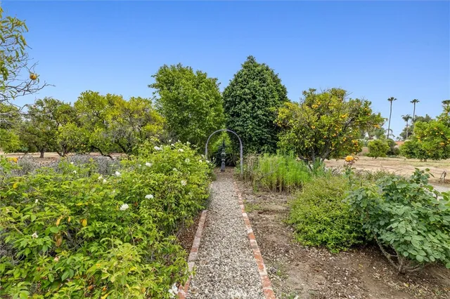 a view of a pathway both side of grassy field