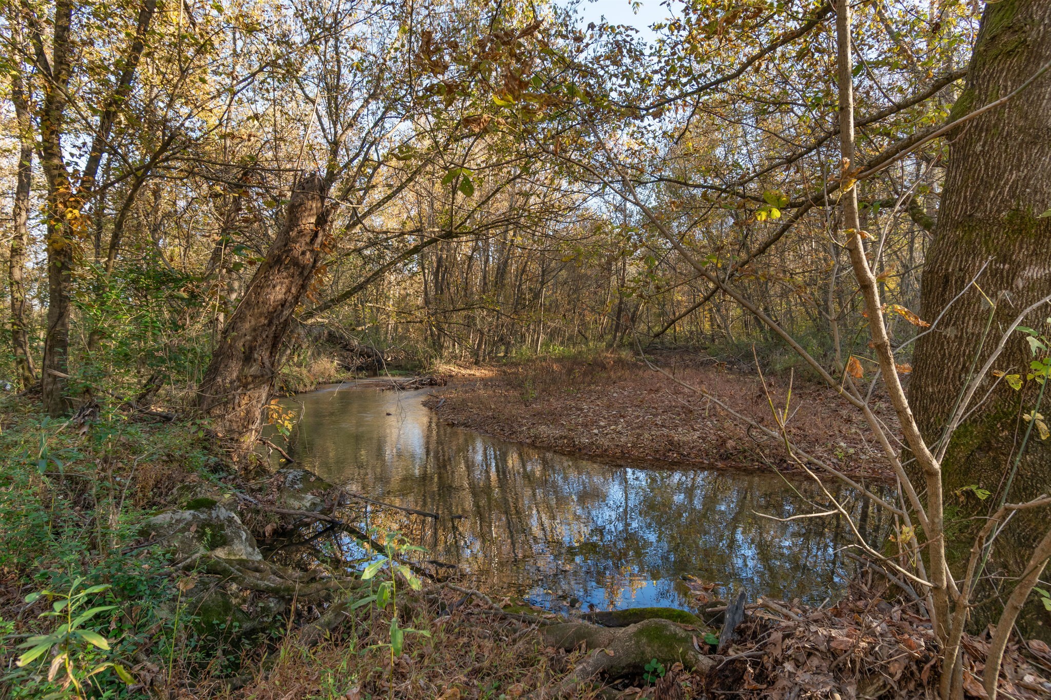 0 Short Creek Road Linden, TN 37096 - Photo 12 of 49 a view of a lake with a tree