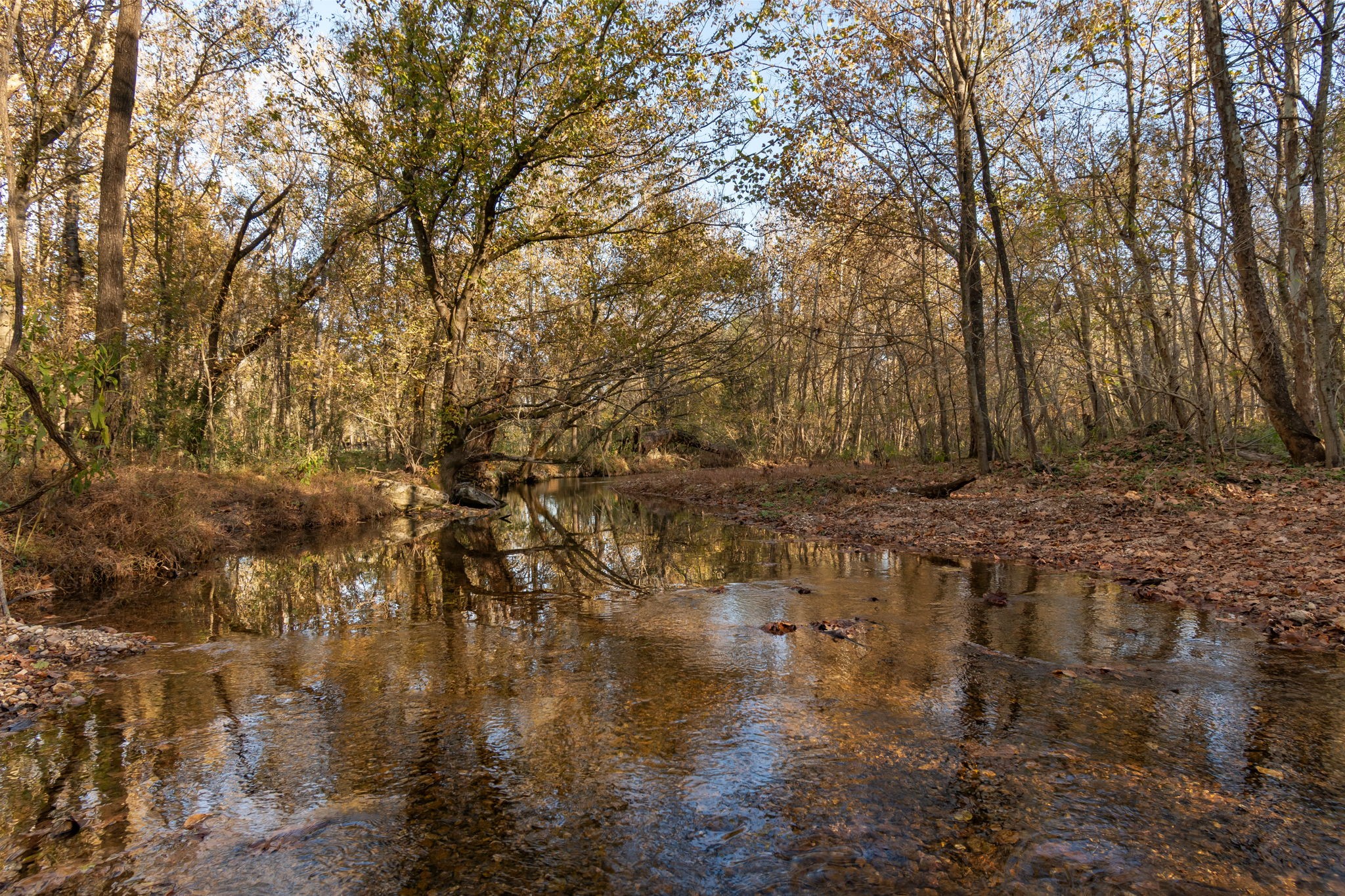 0 Short Creek Road Linden, TN 37096 - Photo 13 of 49