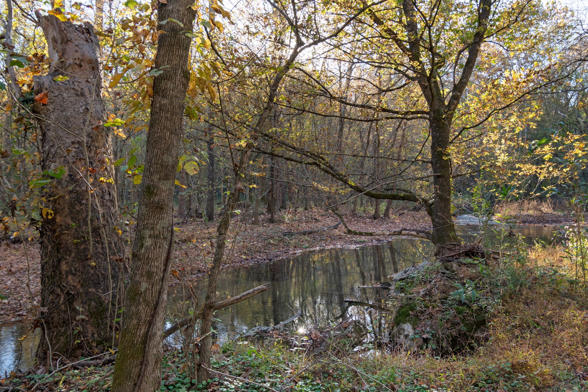 0 Short Creek Road Linden, TN 37096 - Photo 2 of 49 a backyard of a house with lots of green space
