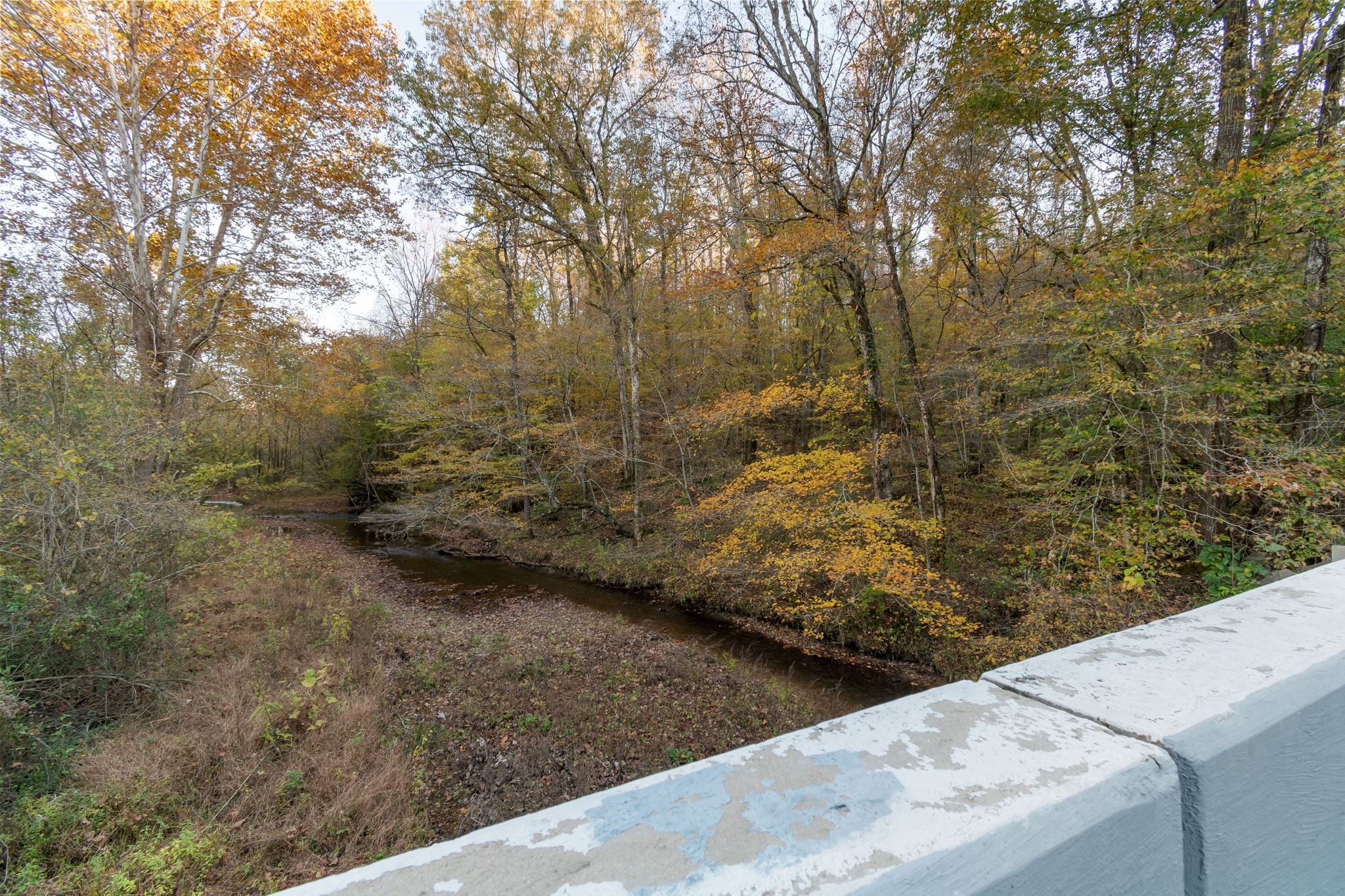 0 Short Creek Road Linden, TN 37096 - Photo 22 of 49 a view of a yard with wooden fence