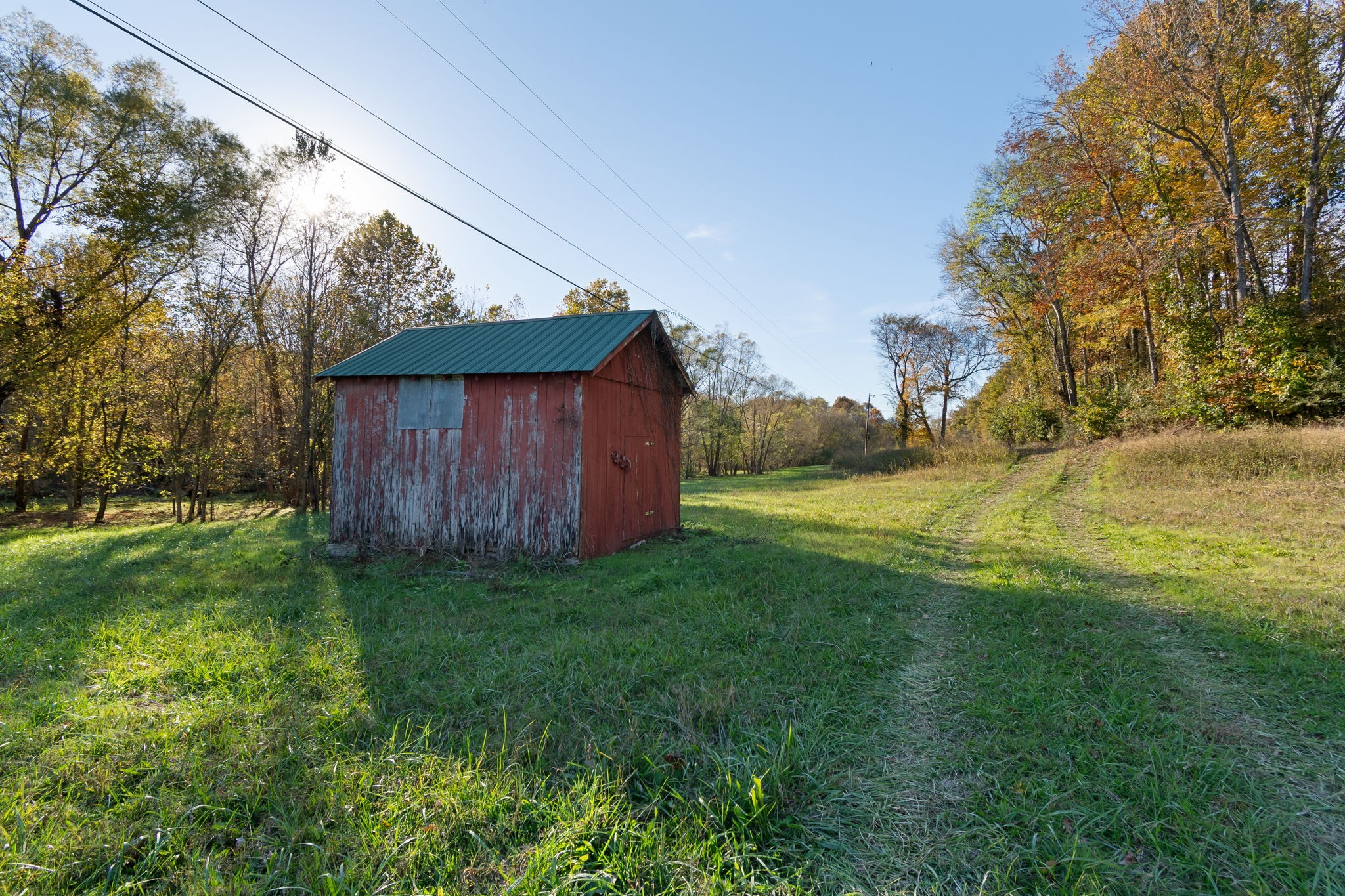 0 Short Creek Road Linden, TN 37096 - Photo 3 of 49 a view of a backyard with barn plants and large tree