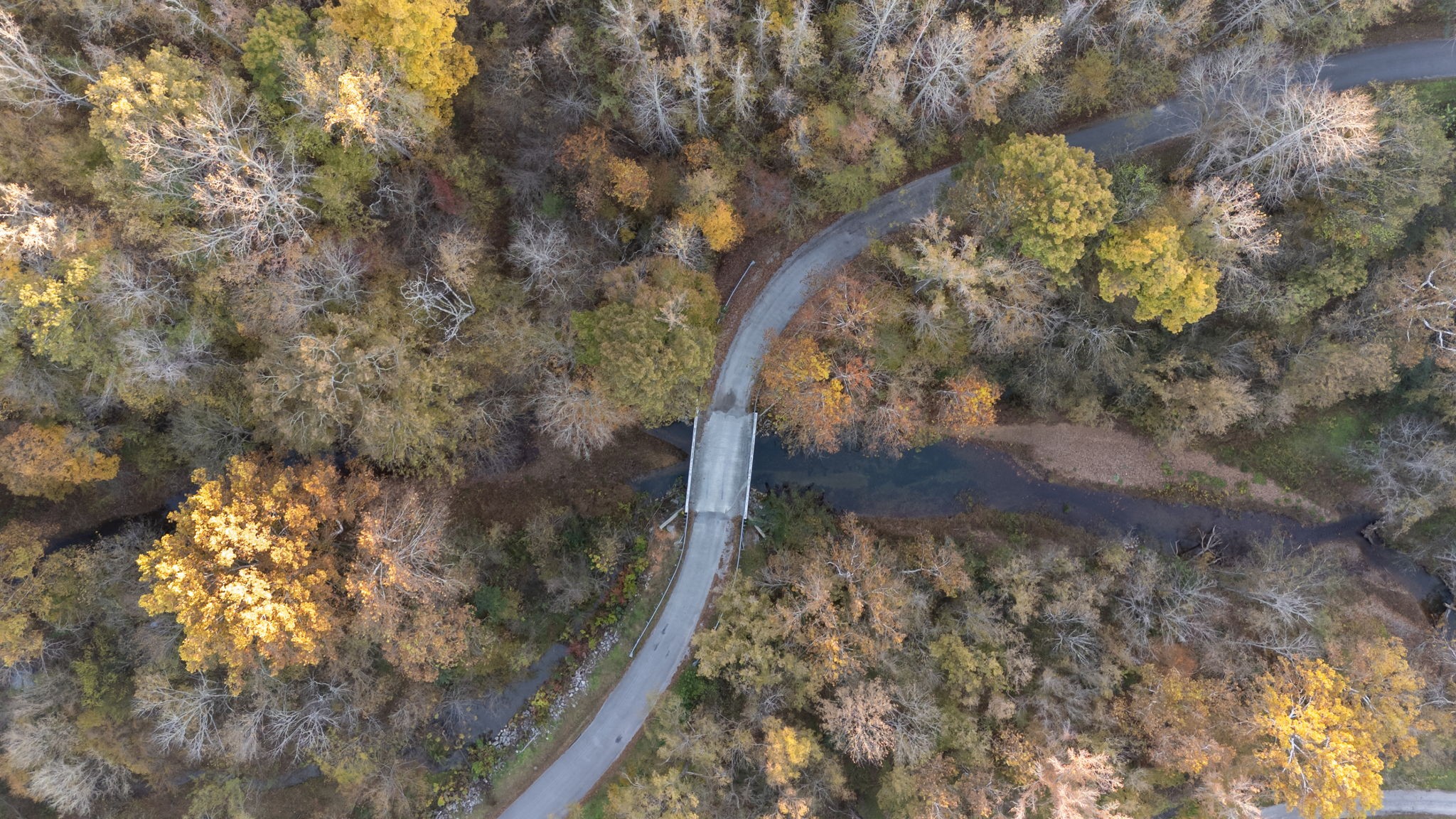 0 Short Creek Road Linden, TN 37096 - Photo 33 of 49 a view of a yard