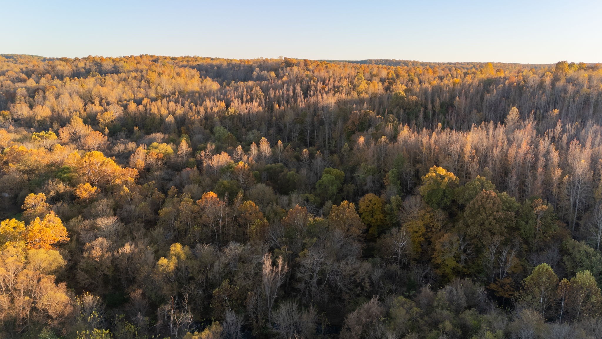 0 Short Creek Road Linden, TN 37096 - Photo 36 of 49 a view of mountains