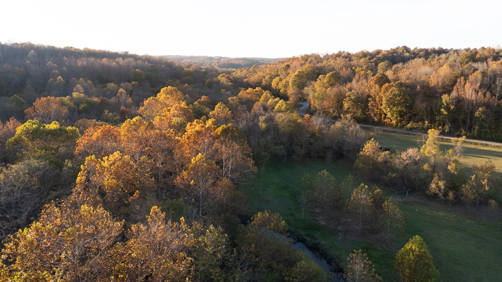 0 Short Creek Road Linden, TN 37096 - Photo 38 of 49 a view of a lake in middle of forest