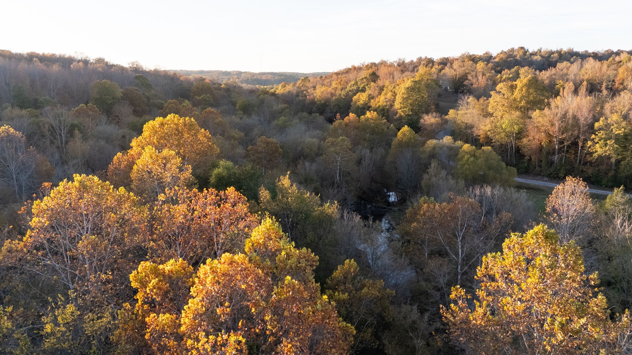 0 Short Creek Road Linden, TN 37096 - Photo 4 of 49 a view of a lot of flowers and trees around