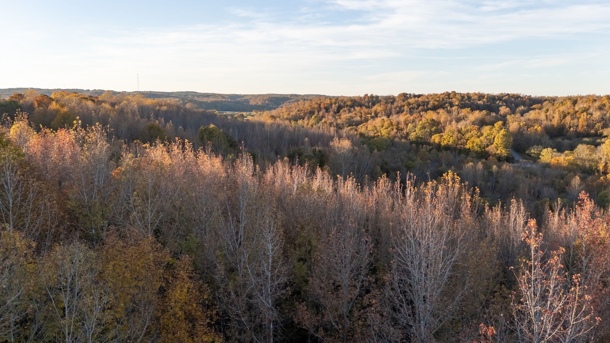 0 Short Creek Road Linden, TN 37096 - Photo 45 of 49