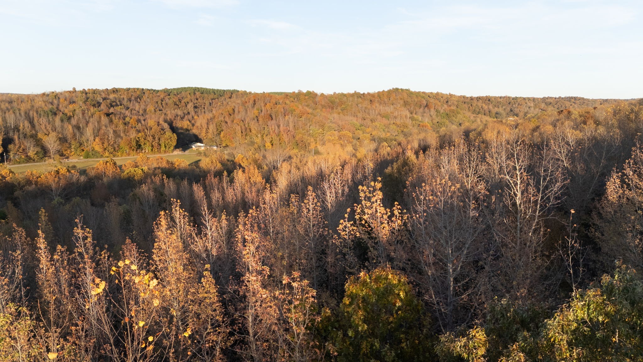 0 Short Creek Road Linden, TN 37096 - Photo 47 of 49