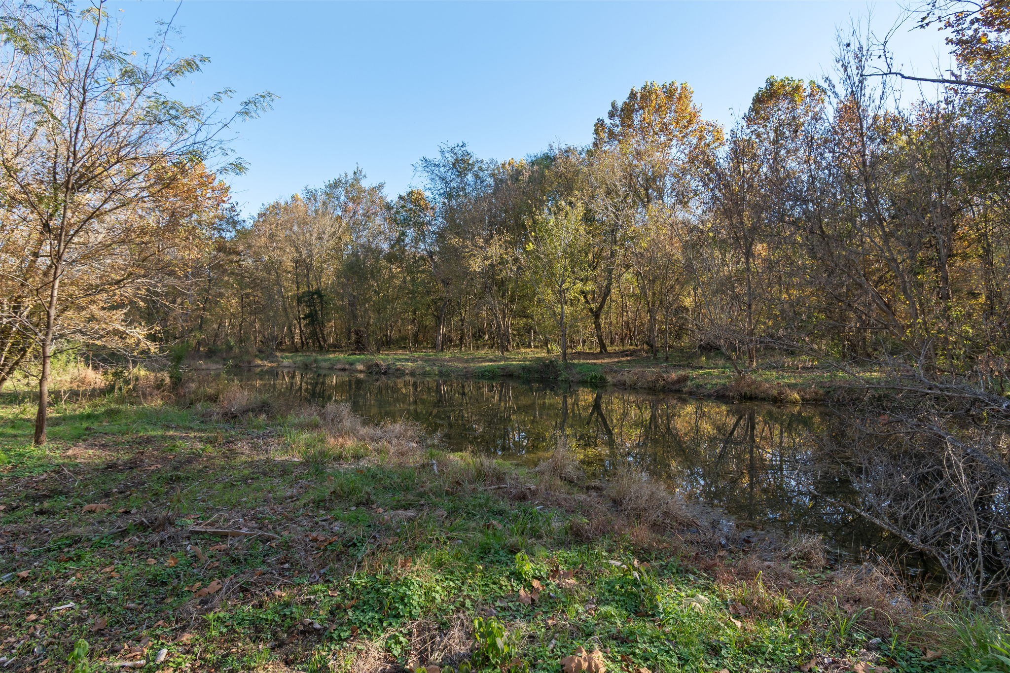 0 Short Creek Road Linden, TN 37096 - Photo 6 of 49 a view of lake