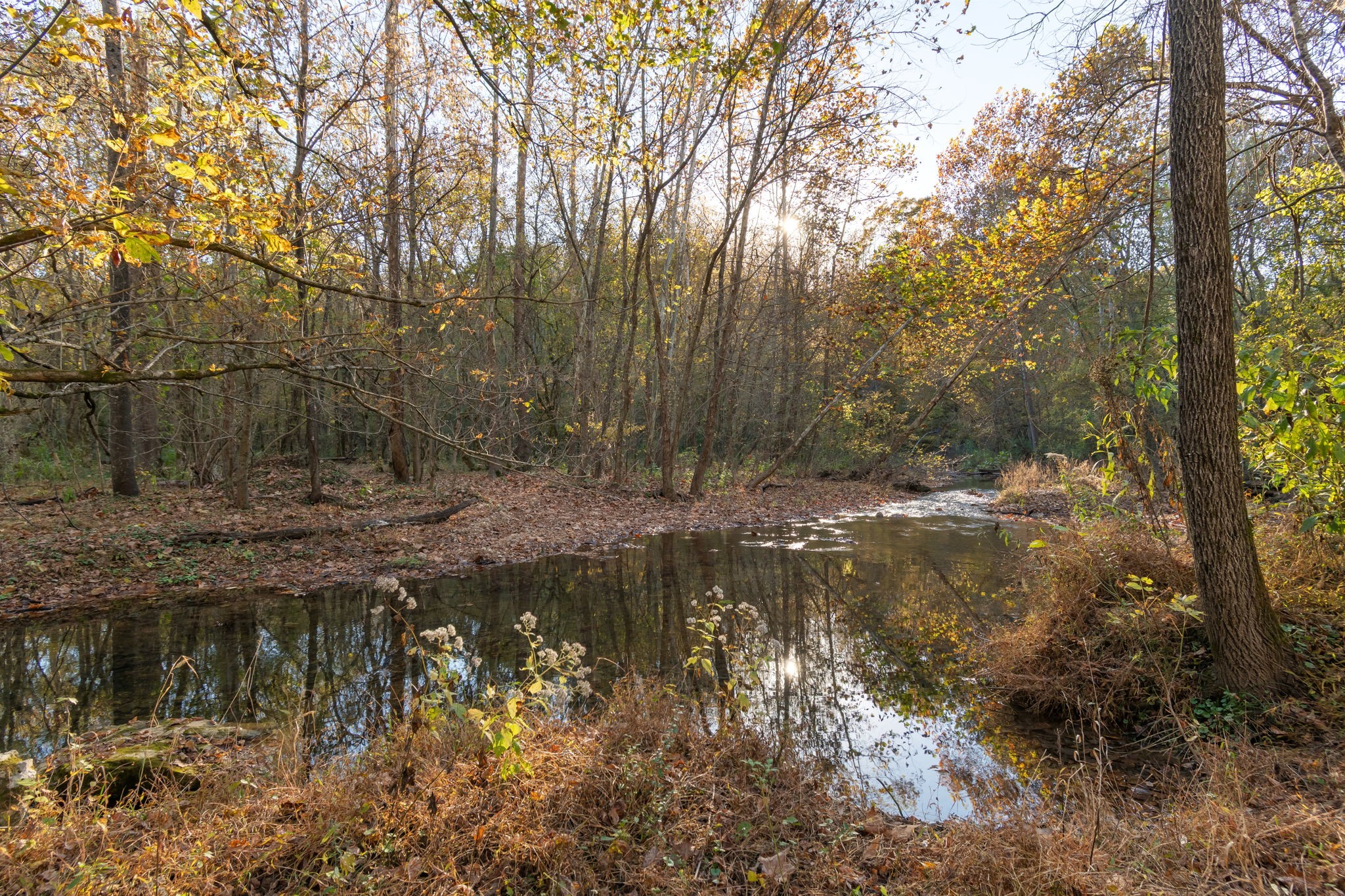 0 Short Creek Road Linden, TN 37096 - Photo 8 of 49