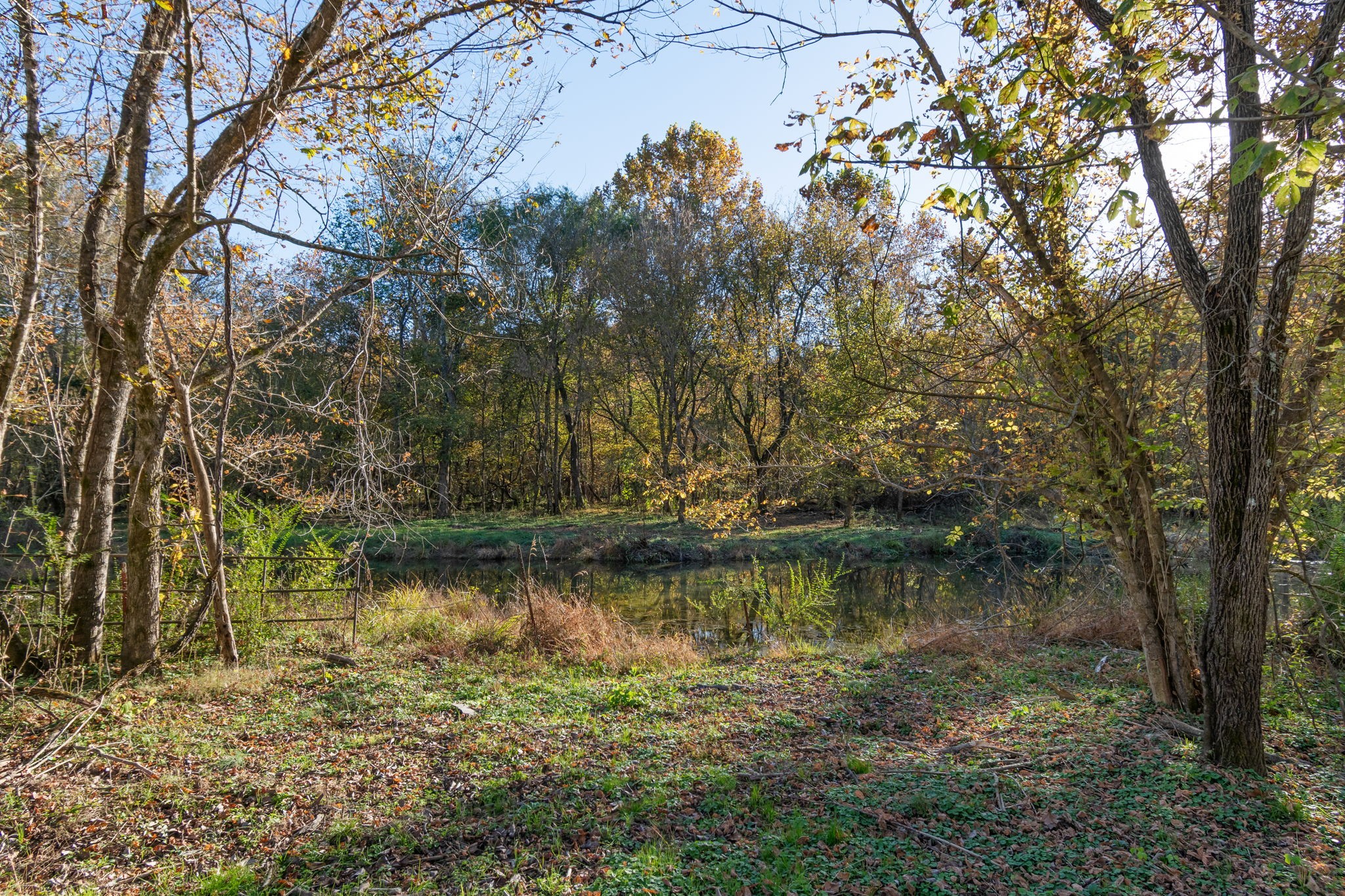 0 Short Creek Road Linden, TN 37096 - Photo 9 of 49 a view of a lake with a tree