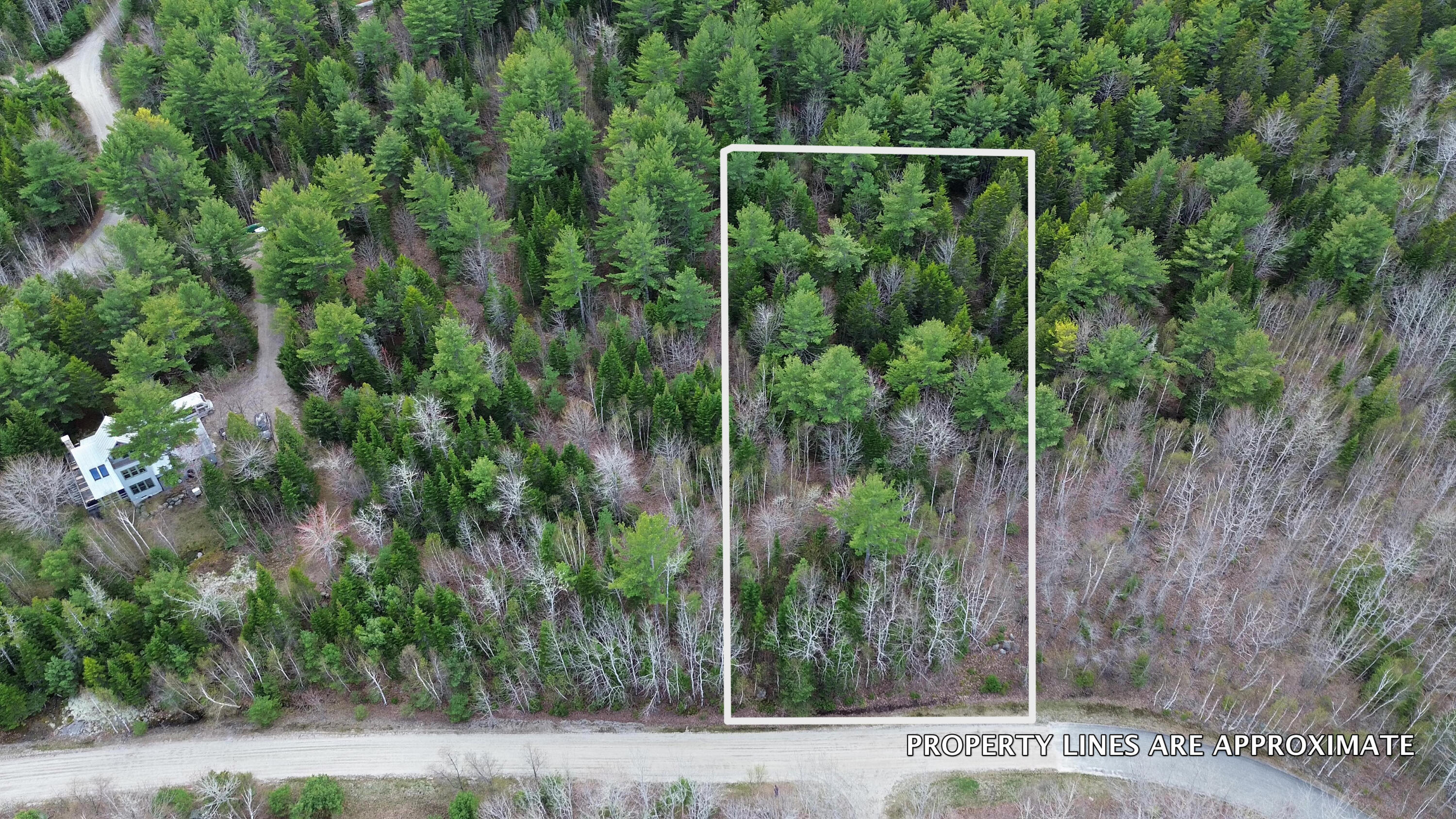 Lot 1 Bailey Mountain Road Franklin, ME 04634 - Photo 4 of 12