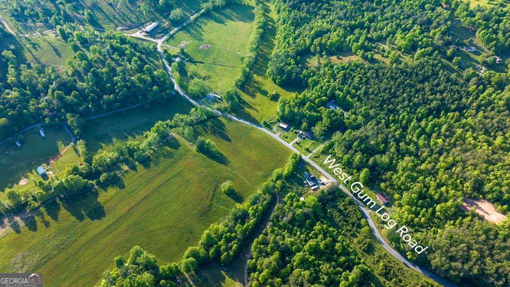 3 West Gum Log Road Warne, NC 28909 - Photo 8 of 14