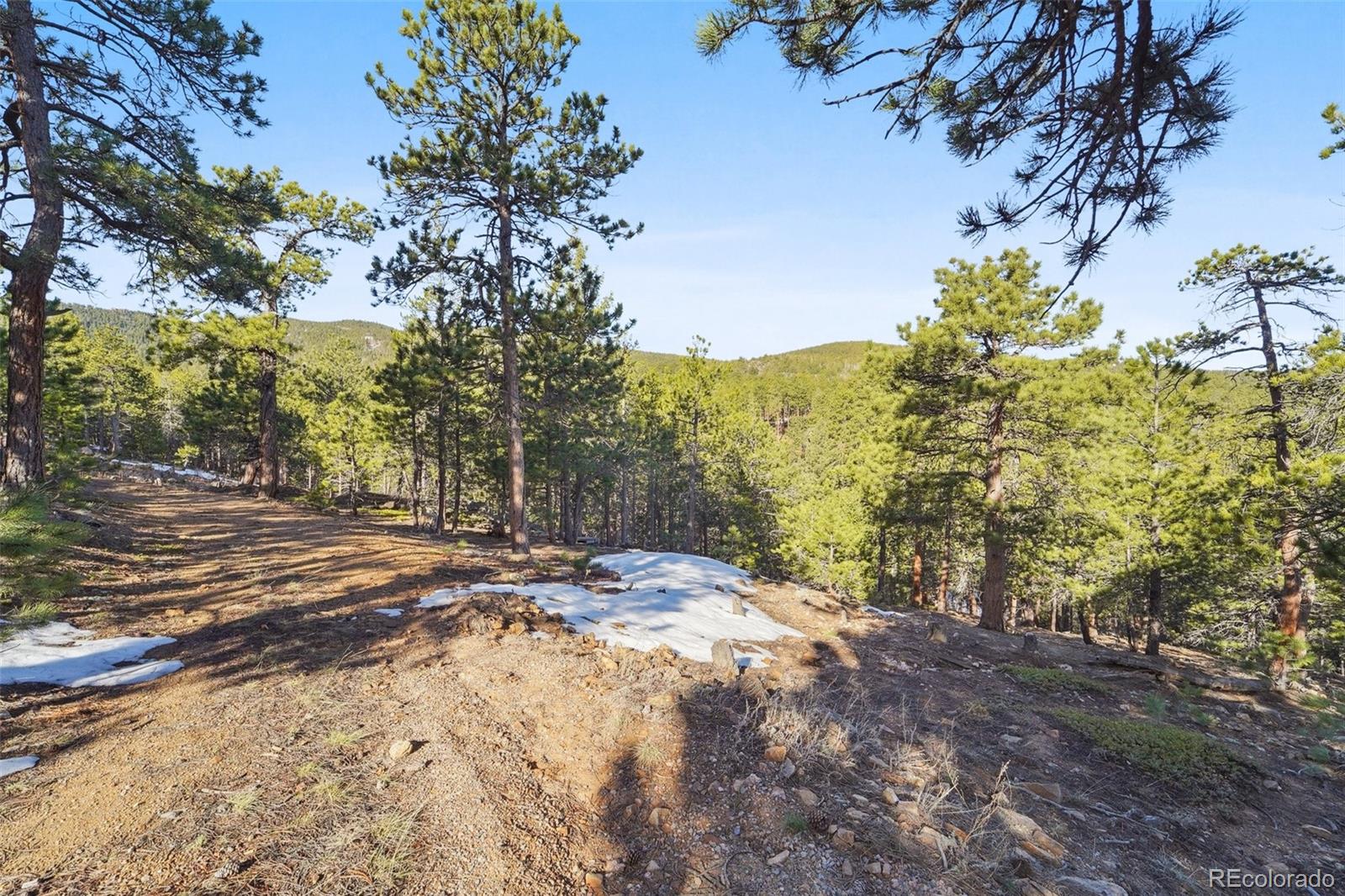 854 Crescent Lake Road Golden, CO 80403 - Photo 2 of 11 a view of a yard with plants and trees