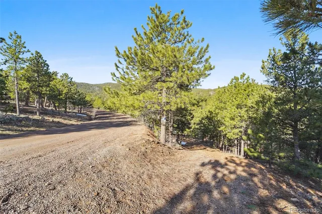 a view of road and yard