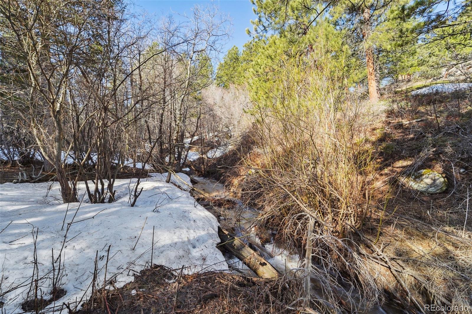 854 Crescent Lake Road Golden, CO 80403 - Photo 8 of 11 a view of dirt yard with a tree