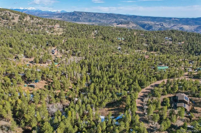 a view of a forest with mountains in the background