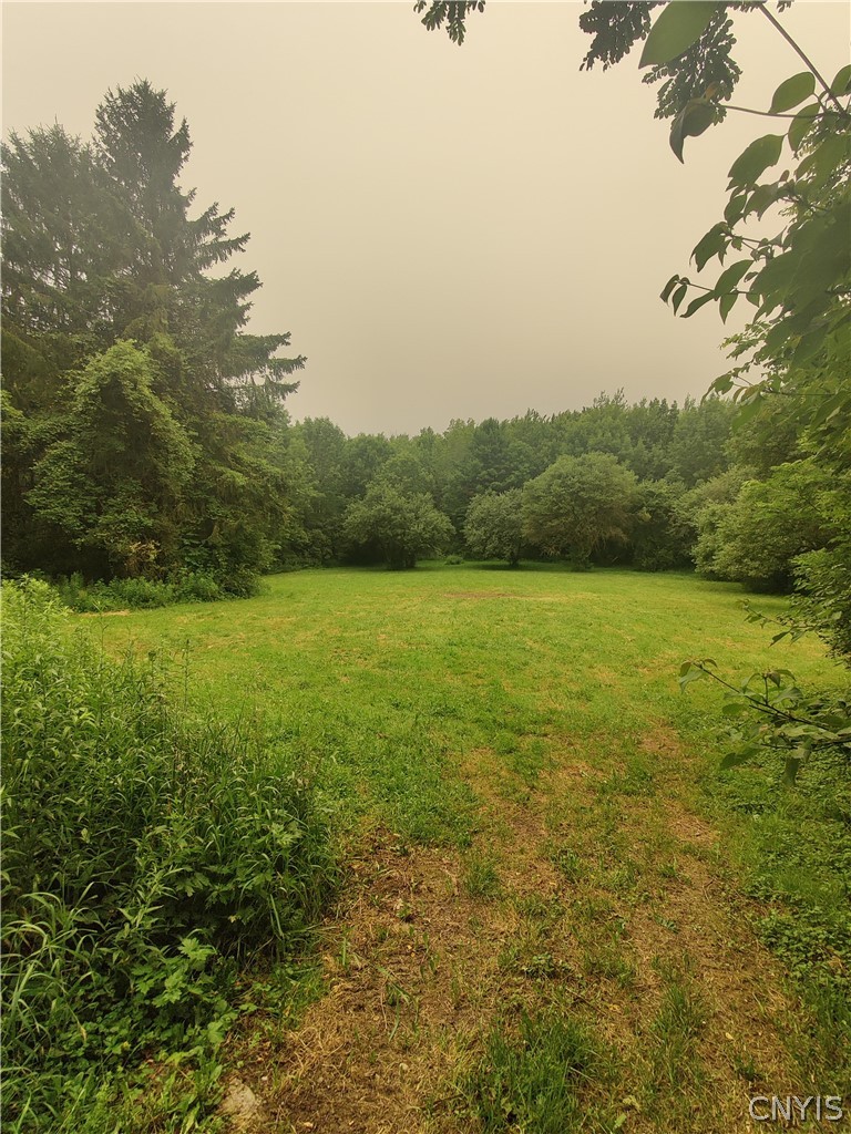 5191 Pleasant Valley Road Smithfield, NY 13035 - Photo 18 of 20 Gallery Image 18