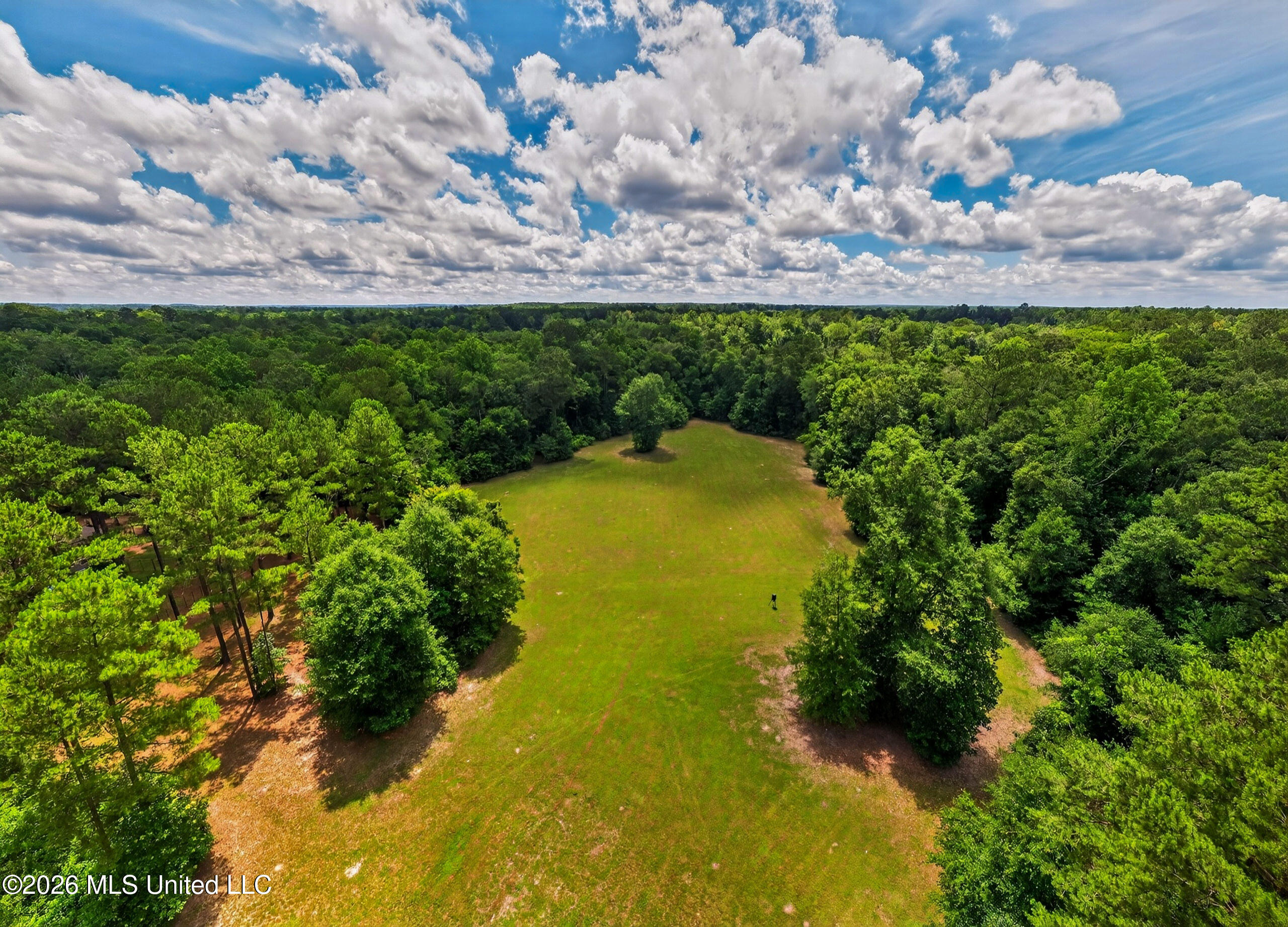 78 Game Reserve Road Columbia, MS 39429 - Photo 6 of 83 78GamerReserveRd.-60