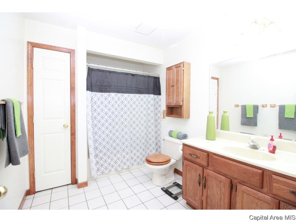505 Ridgeview Road Sherman, IL 62684 - Photo 8 of 21 Gallery Image 8