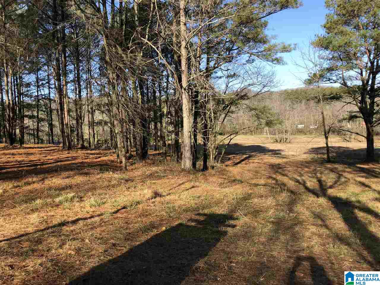 7962 Happy Hollow Road, Unit 3 Trussville, AL 35173 - Photo 7 of 13