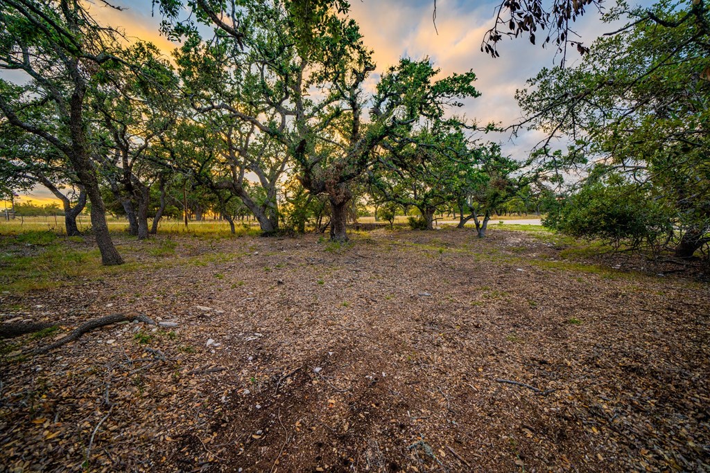 Lot 60 Reservation Road, Unit 60 Harper, TX 78631 - Photo 3 of 6 Gallery Image 3
