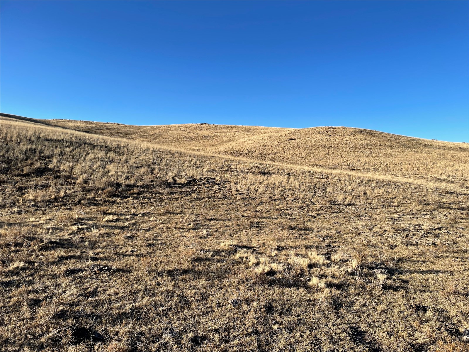 749 Zuni Road Hartsel, CO 80449 - Photo 9 of 11 Gallery Image 9