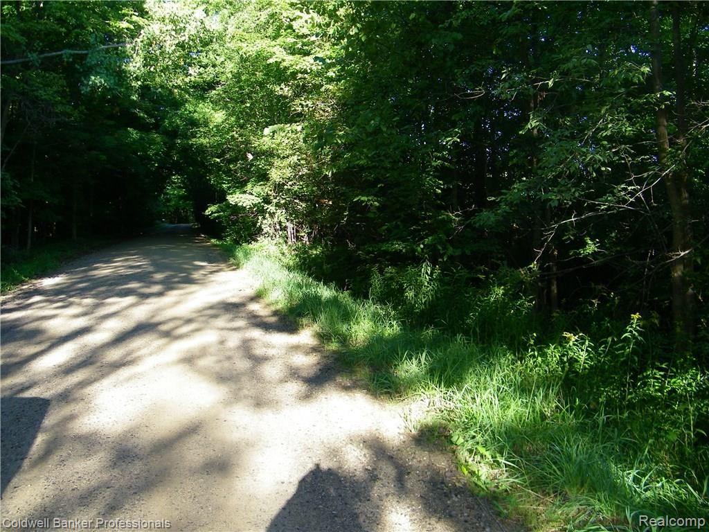 Par 1 Dodds Road North Branch, MI 48461 - Photo 7 of 7
