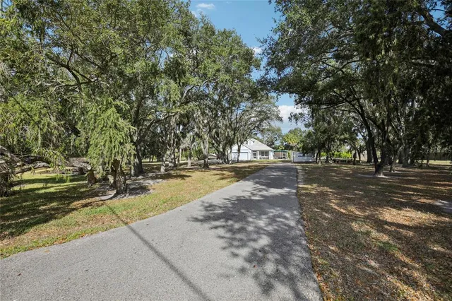 a view of yard with large trees