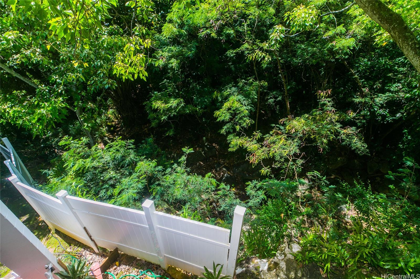 953 Ailuna Street Honolulu, HI 96821 - Photo 19 of 25 a view of a bench in a garden