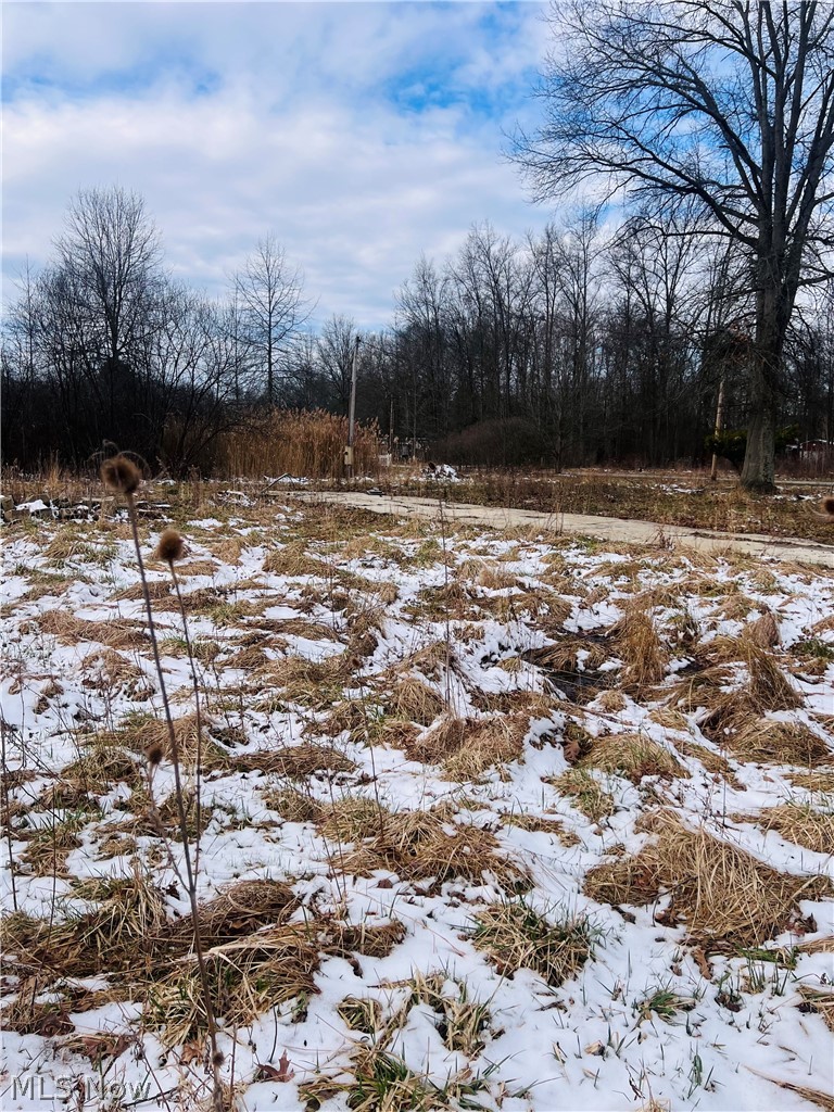 8670 Fortney Road Orwell, OH 44076 - Photo 2 of 19