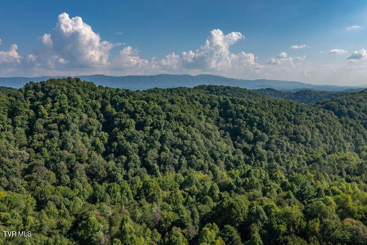 224 Brighton Place, Unit 19 Bristol, TN 37620 - Photo 14 of 14 Photo 12