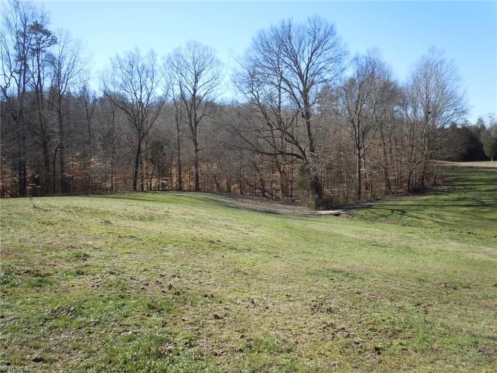 7028 Wishon Road Clemmons, NC 27012 - Photo 9 of 30