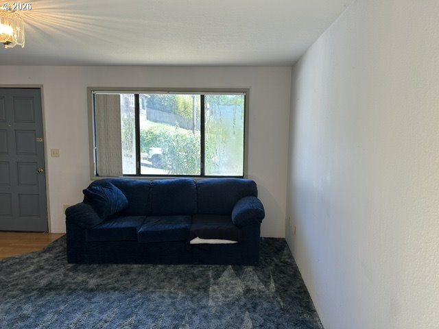 1125 Maple Street Myrtle Point, OR 97458 - Photo 2 of 34