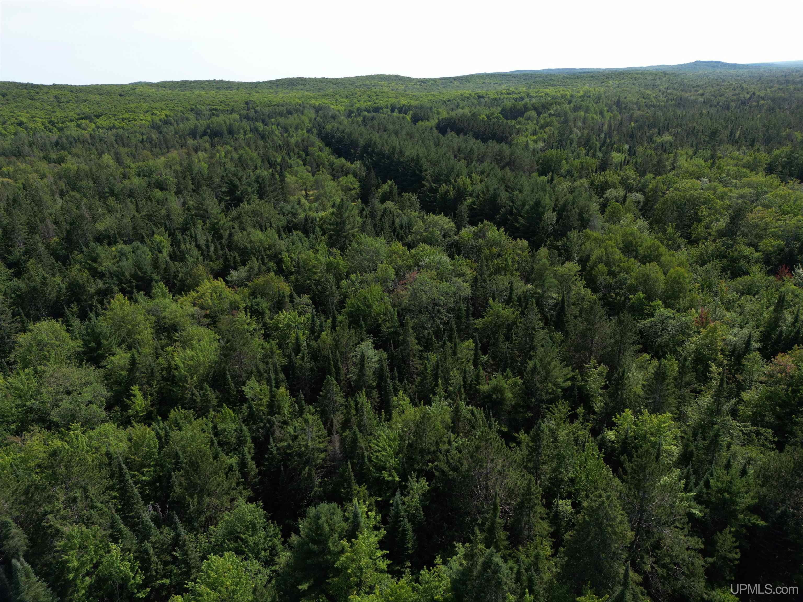 Tbd Tbd Ridge Road Munising, MI 49862 - Photo 6 of 33 Gallery Image 6