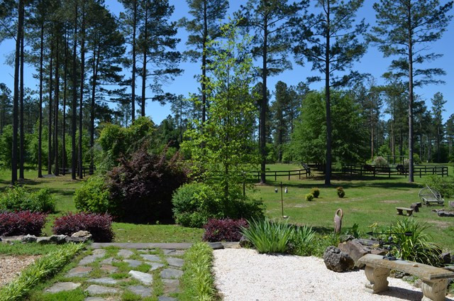 1220 Surrey Race Road Springfield, SC 29146 - Photo 24 of 46